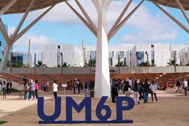 UM6P